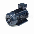 C323B Marathon Motor