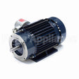 C361A Marathon Motor