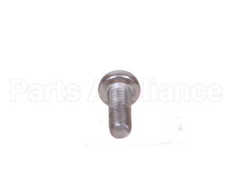 X10134B Globe Screw