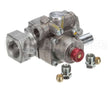 CK1027001 Garland Auto Safety Valve 1/2 Npt Kit