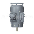 CNT60P2FG US Motors Nidec Vertical Solid Shaft Motor