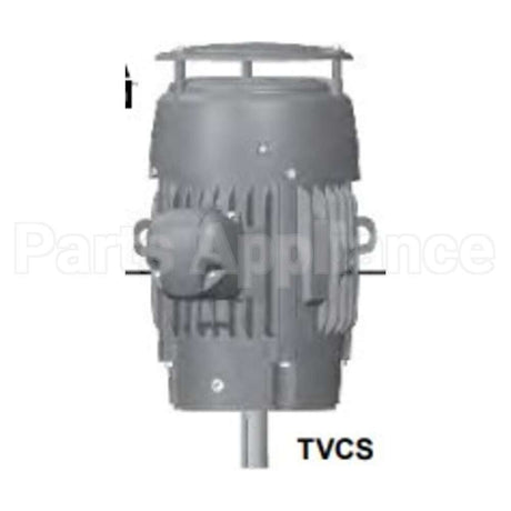 CNT7P2DE US Motors Nidec Vertical Solid Shaft Motor