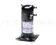 COM13130 Trane Compressor-77809