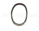 CP-105 Hammerall Belt