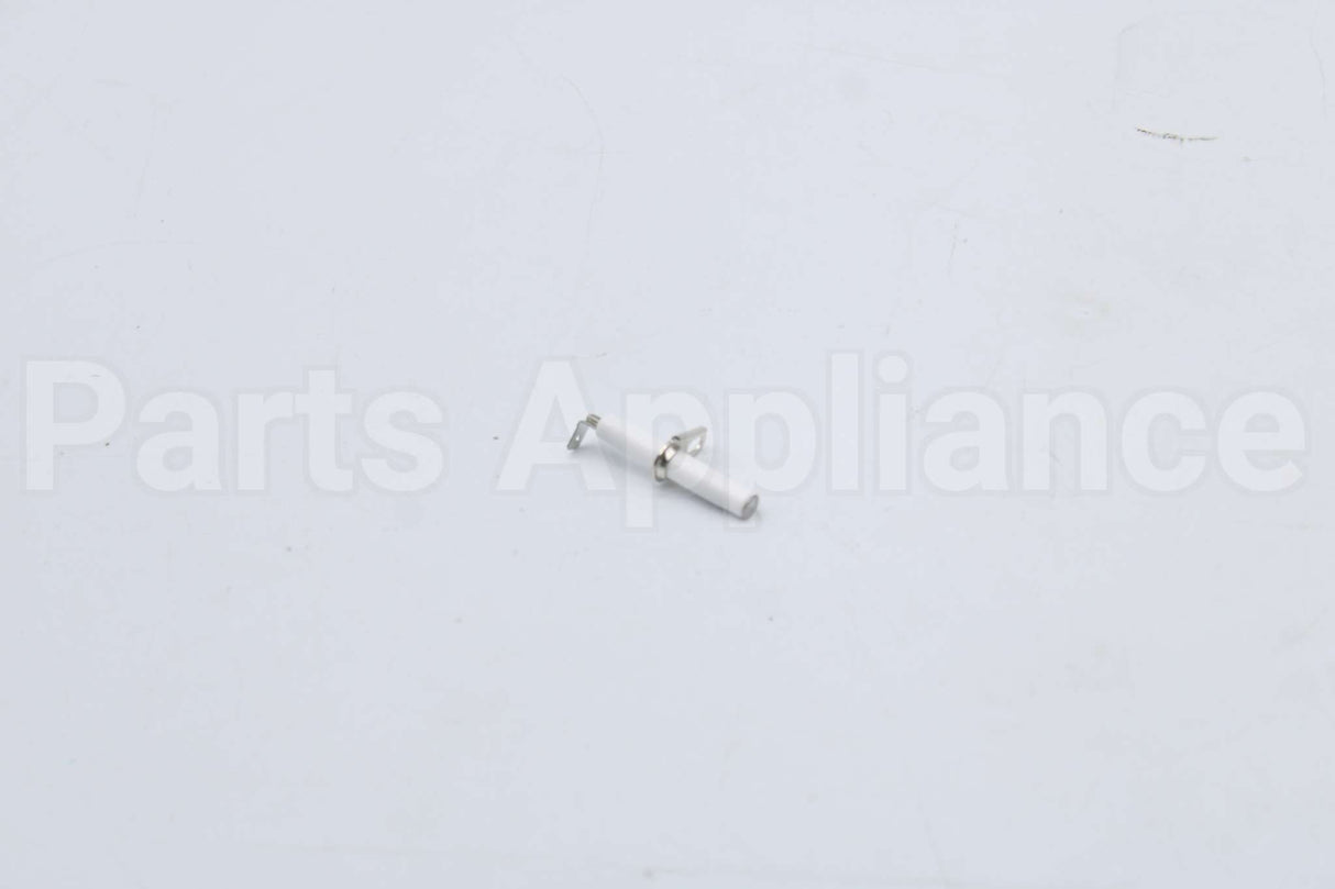 10004177 Bosch Electrode