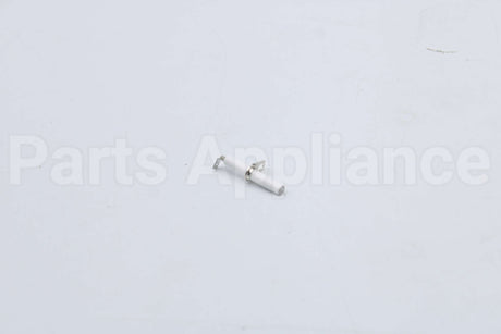 10004177 Bosch Electrode