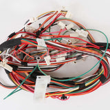 D517475 Speed Queen Harness,Gas 120V/240V