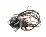 D519030 Alliance Timer And Harness Kit