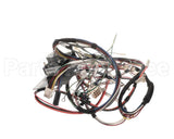 D519030 Alliance Timer And Harness Kit