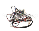 D519030 Alliance Timer And Harness Kit