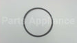 106050-000 Armstrong Fluid Technology 4.75" Body Gasket