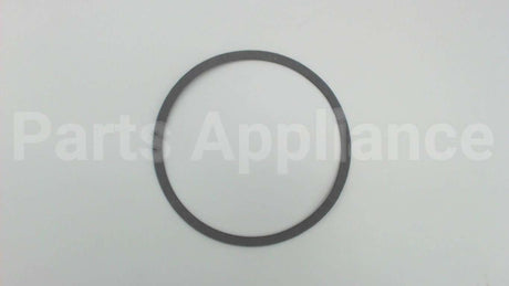 106050-000 Armstrong Fluid Technology 4.75" Body Gasket