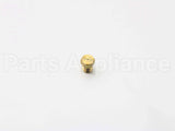 DG62-00098A Samsung Nozzle-Aux Lp;Fx710Bgs,Brass,C3604Bd