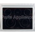 DG97-00073R Samsung Assy Cooktop;Ftq353Iwuw,White