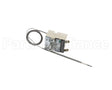 DX014001209 Dinex Thermostat, Control, 170C
