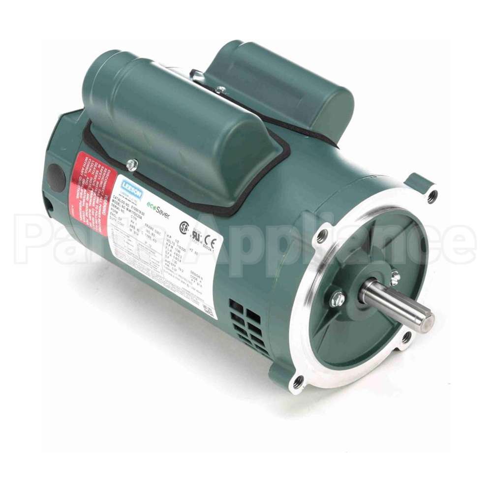 E100019.00 Leeson Motor