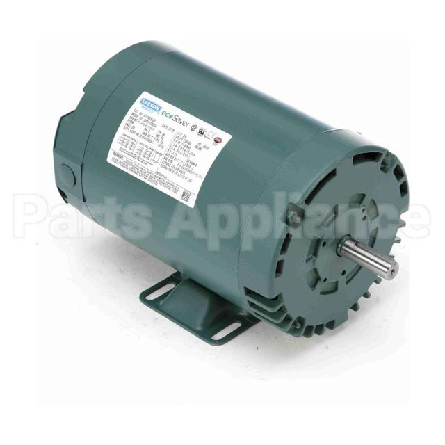 E110028.00 Leeson Motor