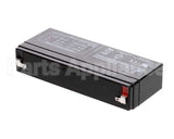 E133100 Globe Storage Battery