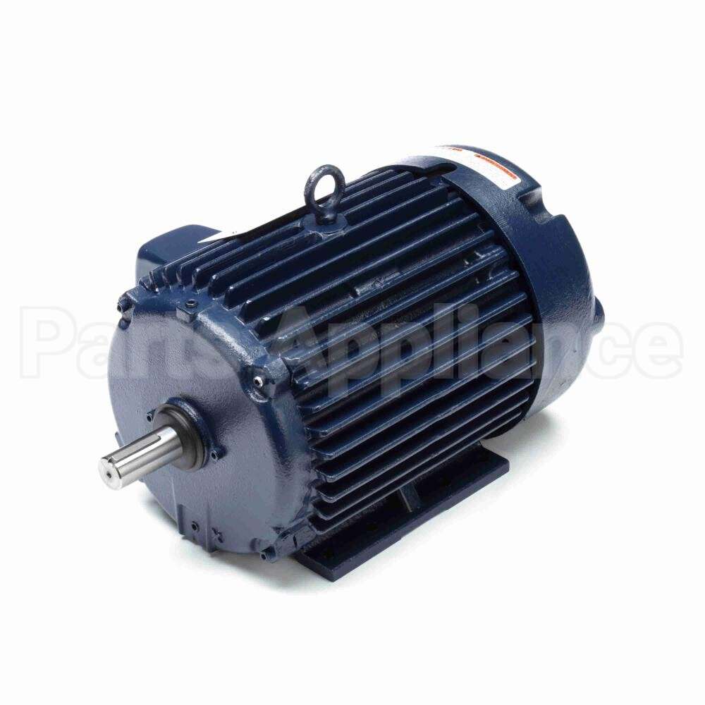 E202-P Marathon Motor