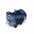 E481A Marathon Motor