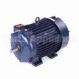 E490A Marathon Motor