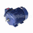 E546 Marathon Motor
