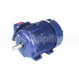 E547-P Marathon Motor