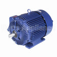E566 Marathon Motor