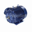 E572 Marathon Motor