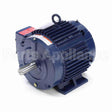 E601A Marathon Motor
