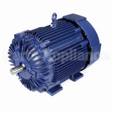 E615A Marathon Motor