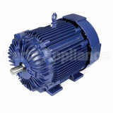 E615A Marathon Motor