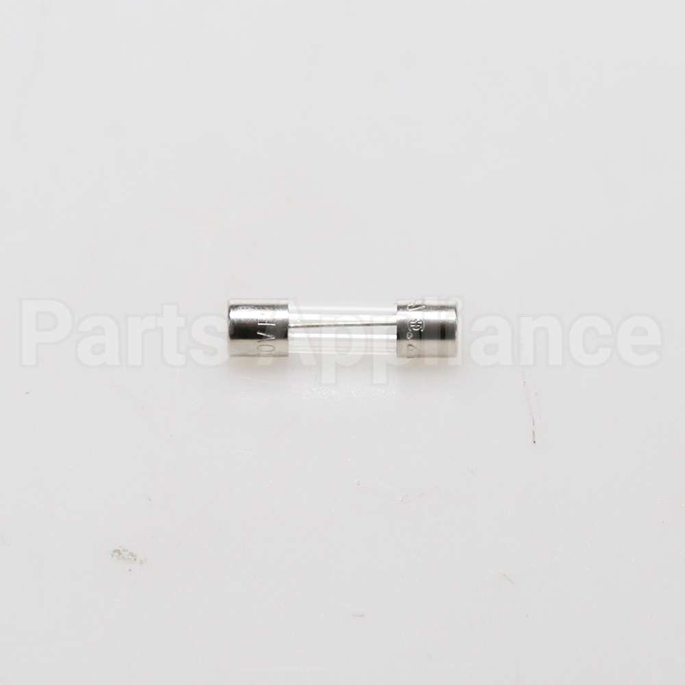 WP23X10028 GE Fuse