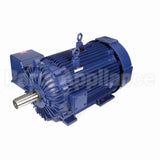 E771A Marathon Motor