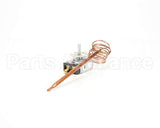 Z002180 Groen Thermostat (012838)