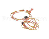 00203-0102 Antunes Wire-Assembly, Ut