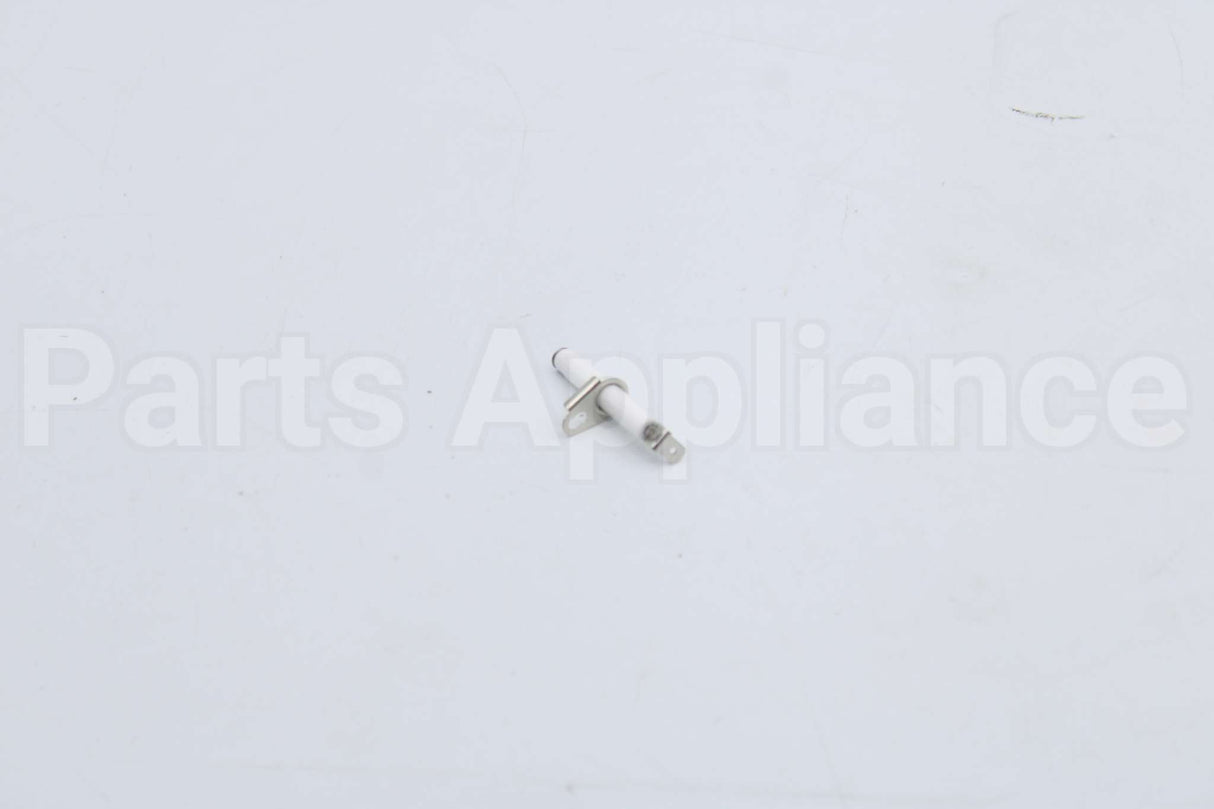 10004177 Bosch Electrode