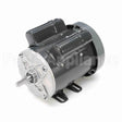 EG276 Marathon Motor
