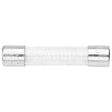 ELFUS0305 Compatible Randell Fuse