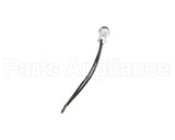 EL LGT1601 Randell Light,Blue, Pilot 250V W/Leads