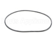 EV094400 Everpure Gasket Sq. Cut T-9/20