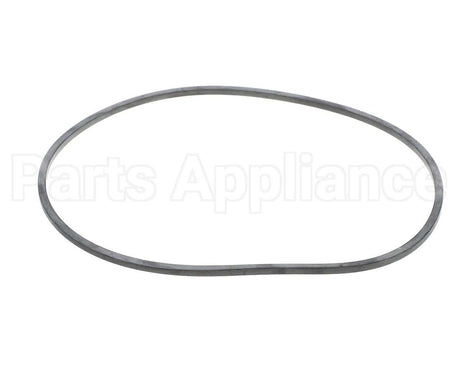 EV094400 Everpure Gasket Sq. Cut T-9/20