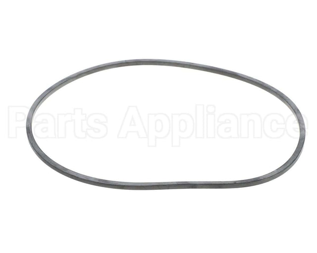 EV094400 Everpure Gasket Sq. Cut T-9/20