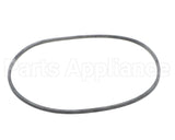 EV094400 Everpure Gasket Sq. Cut T-9/20