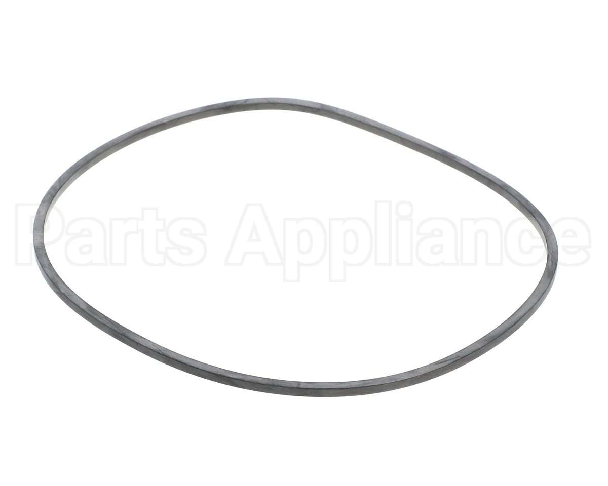 EV094400 Everpure Gasket Sq. Cut T-9/20