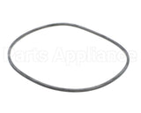 EV094400 Everpure Gasket Sq. Cut T-9/20