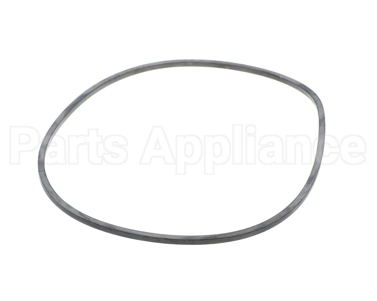 EV094400 Everpure Gasket Sq. Cut T-9/20