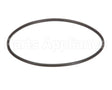 EV307119 Everpure Replacement O-Ring