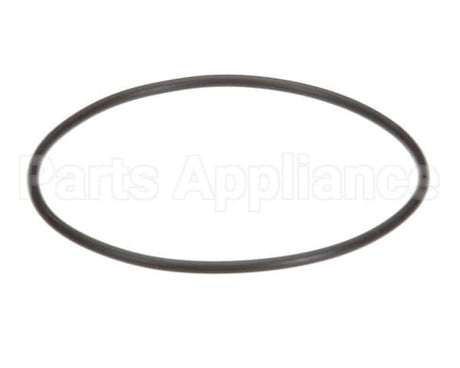 EV307119 Everpure Replacement O-Ring