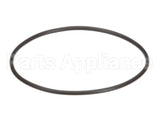 EV307119 Everpure Replacement O-Ring